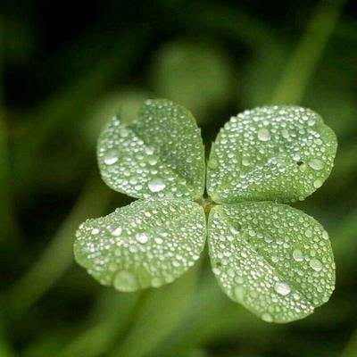 少年骇客骑自行车